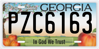 GA license plate PZC6163