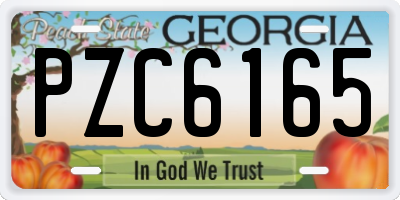 GA license plate PZC6165
