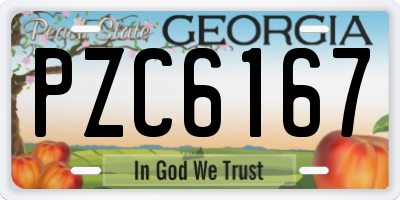 GA license plate PZC6167