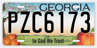 GA license plate PZC6173