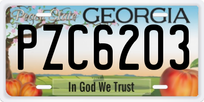 GA license plate PZC6203