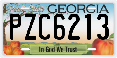 GA license plate PZC6213