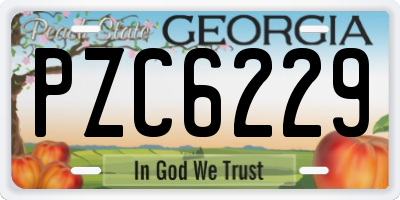 GA license plate PZC6229