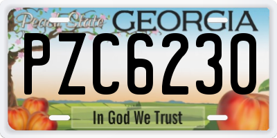 GA license plate PZC6230
