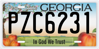 GA license plate PZC6231