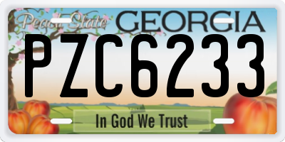 GA license plate PZC6233