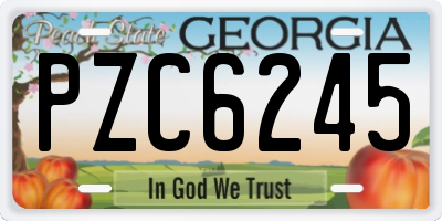 GA license plate PZC6245