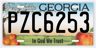 GA license plate PZC6253