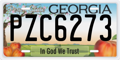 GA license plate PZC6273