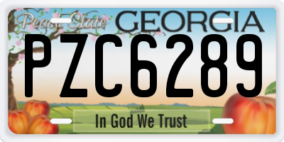 GA license plate PZC6289