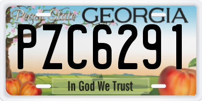 GA license plate PZC6291