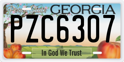 GA license plate PZC6307