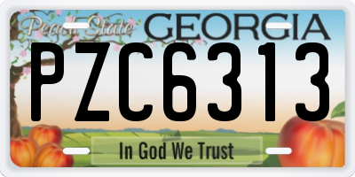 GA license plate PZC6313