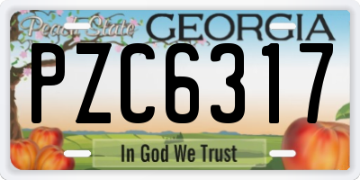 GA license plate PZC6317