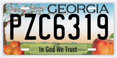 GA license plate PZC6319