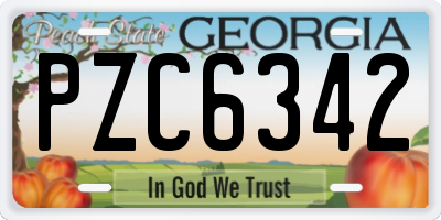 GA license plate PZC6342