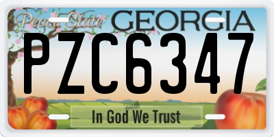 GA license plate PZC6347