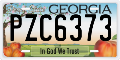 GA license plate PZC6373