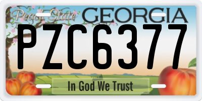 GA license plate PZC6377
