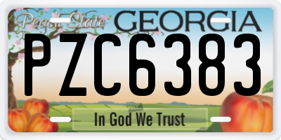 GA license plate PZC6383