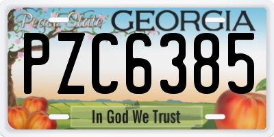 GA license plate PZC6385