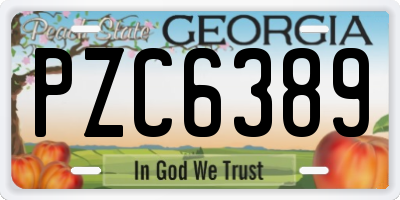 GA license plate PZC6389
