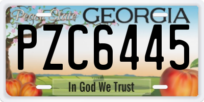 GA license plate PZC6445