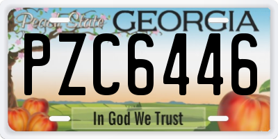 GA license plate PZC6446
