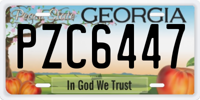 GA license plate PZC6447