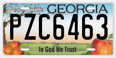 GA license plate PZC6463