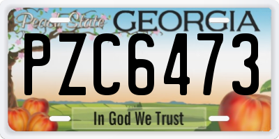 GA license plate PZC6473