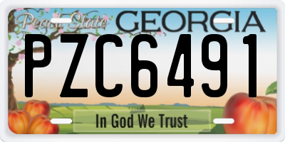 GA license plate PZC6491