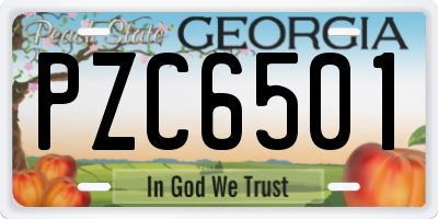GA license plate PZC6501