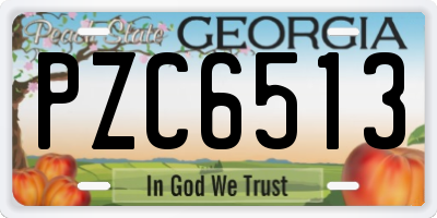 GA license plate PZC6513