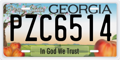 GA license plate PZC6514