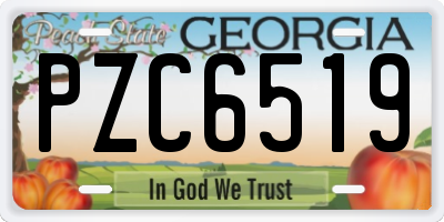 GA license plate PZC6519
