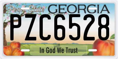 GA license plate PZC6528