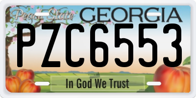GA license plate PZC6553