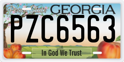GA license plate PZC6563