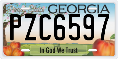 GA license plate PZC6597