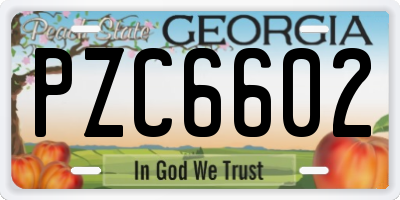 GA license plate PZC6602