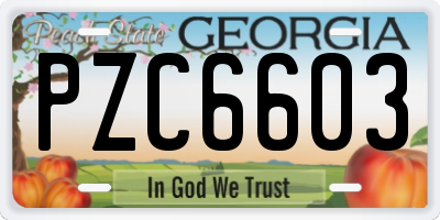 GA license plate PZC6603