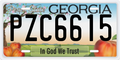 GA license plate PZC6615