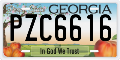 GA license plate PZC6616