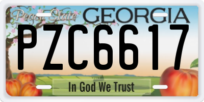 GA license plate PZC6617