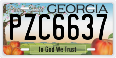 GA license plate PZC6637