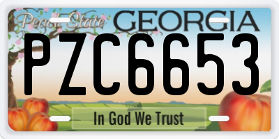 GA license plate PZC6653