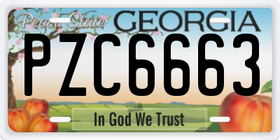 GA license plate PZC6663