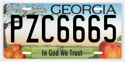 GA license plate PZC6665
