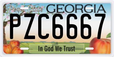 GA license plate PZC6667